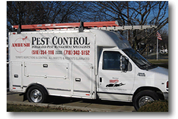 AMBUSH - Complete Pest Elimination