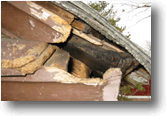 Damage to exterior corner of garage